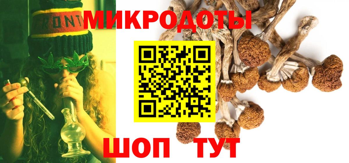 Псилоцибиновые грибы мицелий Калуга