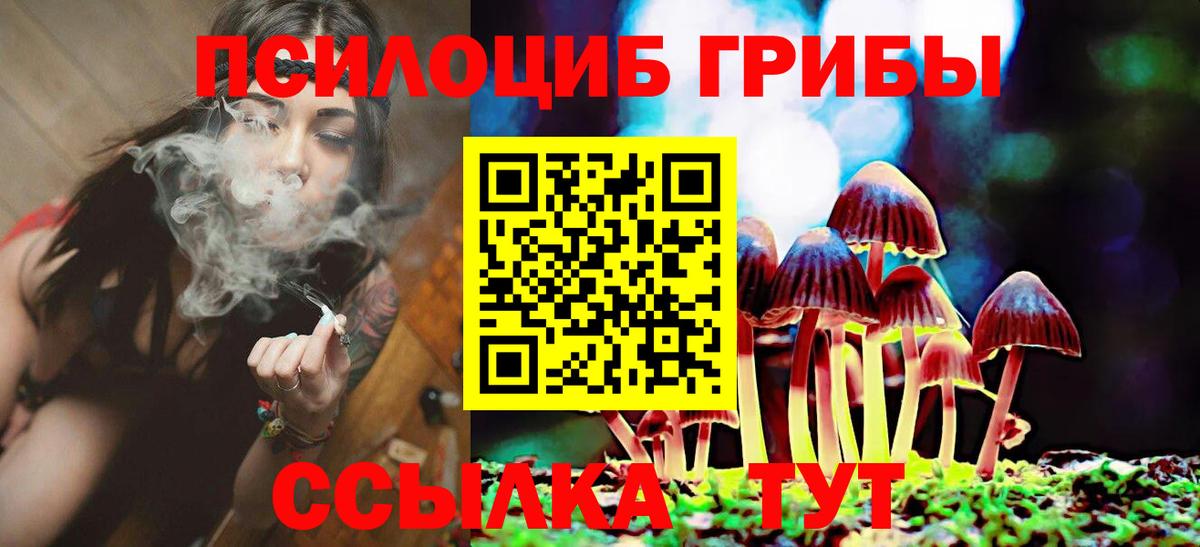 Галлюциногенные грибы Cubensis  Псилоцибиновые грибы MAGIC MUSHROOMS  Калуга  Вход с VPN 